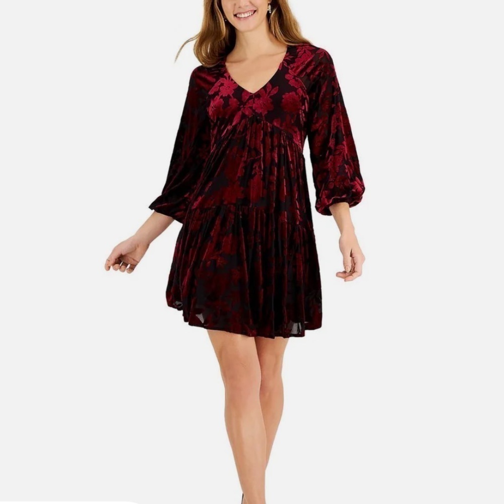 Taylor Burnout Velvet Dress